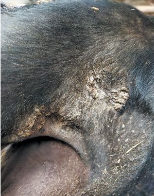 . 1.      . <br> .  500.   ..