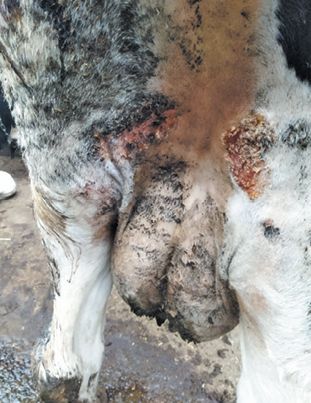 . 2.      <br> .  .  472.  <br> ..