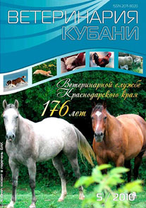 Номер 5, 2010 год