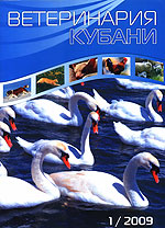 Номер 1, 2009 год