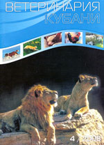 Номер 4, 2008 год
