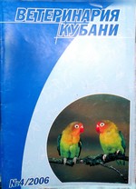 Номер 4, 2006 год