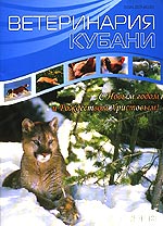 Номер 6, 2008 год